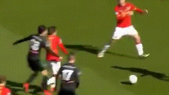 罗马全队的 罗马全队的